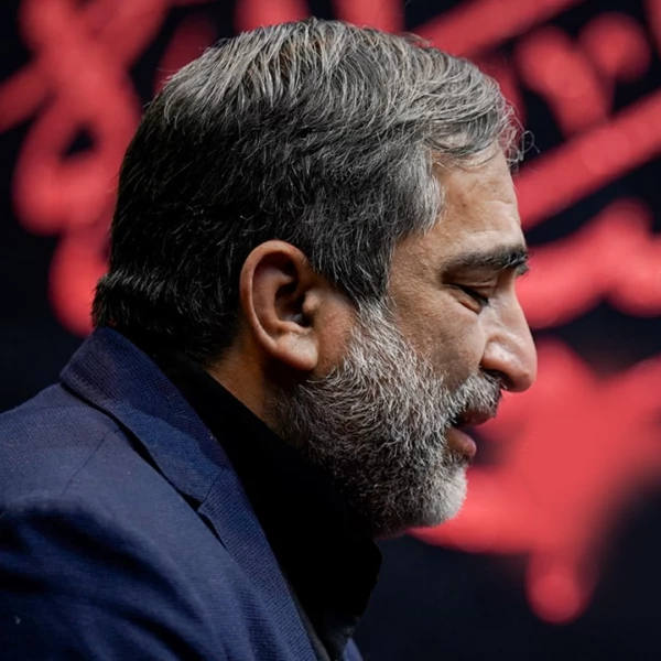 تصویر حاج جواد حیدری - ابوفاضل، ای برادر زینب