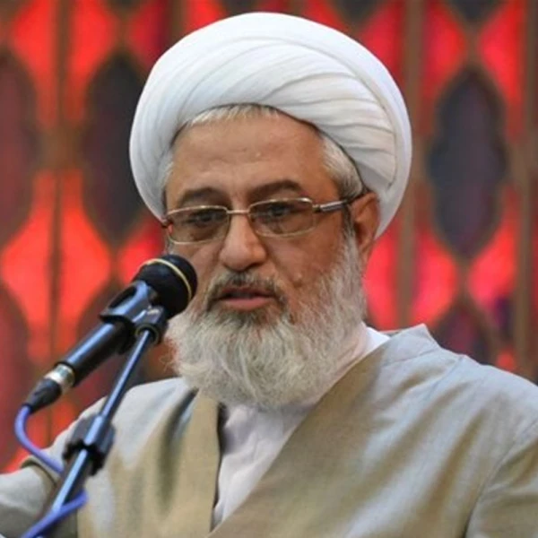 تصویر حجت الاسلام  عابدینی - جمعیت سه برابری خیابان