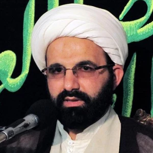 حجت الاسلام حمید رضا مهدوی ارفع