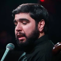 سید محمود علوی