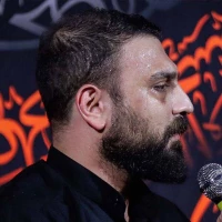 شد شد نشد میرم کربلا