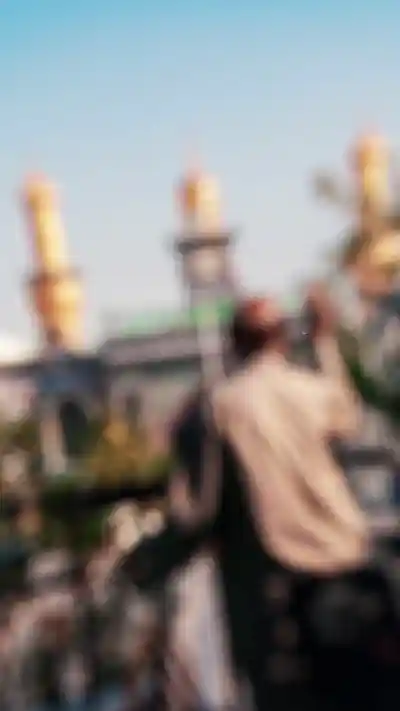 همه جا رو گشتم