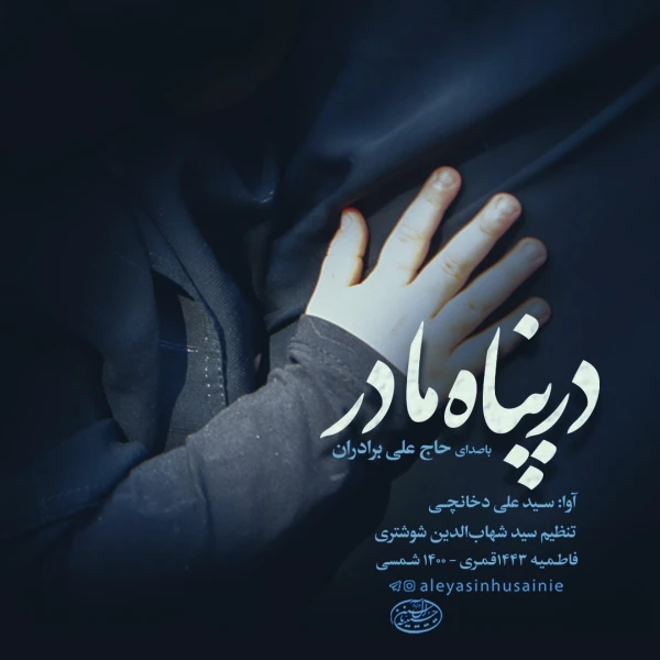 تصویر علی برادران - در پناه مادر