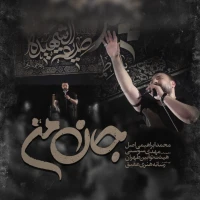 محمد ابراهیمی اصل