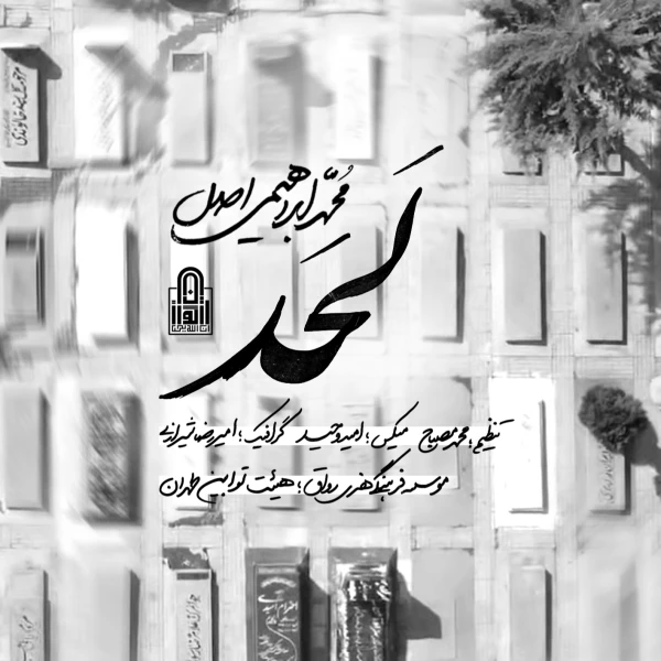 تصویر محمد ابراهیمی اصل - لحد