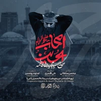 اصحاب الحسین...