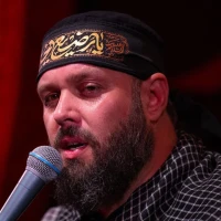 محسن محمدی پناه