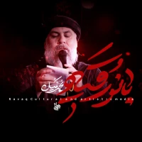ایّتُها الشهیدهی سه ساله
