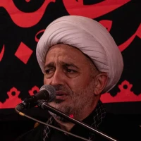 من کیستم؟ گدای تو یا ثامن الحجج