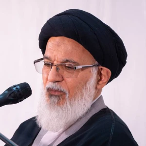 آیت الله سید محمدمهدی میرباقری
