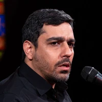 علی‌ ندیده عبادت نمی‌کند حق را!