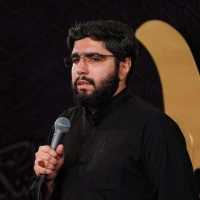 سید محمود علوی