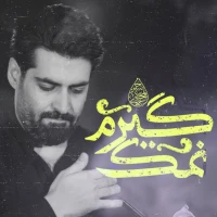 نمکگیرم