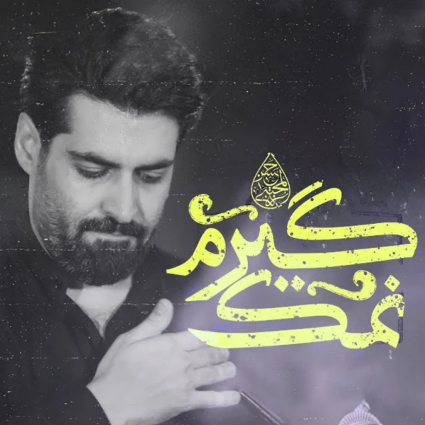 تصویر مهدی رعنایی - نمک‌گیرم