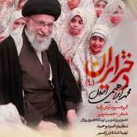 محمد ابراهیمی اصل