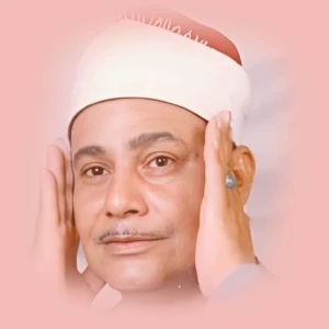 محمود منشاوی