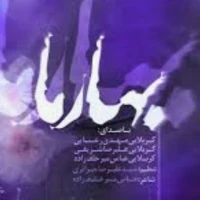 مهدی رعنایی