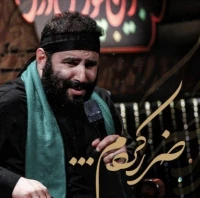 ضرر کردم