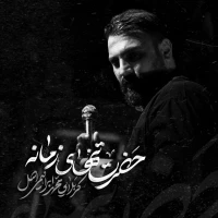 محمد ابراهیمی اصل