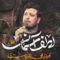 محمدرضا ناصری