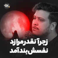 محمدرضا ناصری