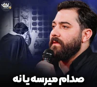 صدام میرسه یا نه
