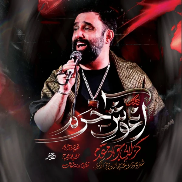 تصویر جواد مقدم - آغوش حرم